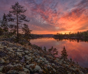 Karelia, Drzewa, Jezioro, Rosja, Kamienie, Zachód słońca, Ładoga