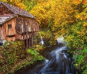 Las, Rzeka, Jesień, Wodospad, Stan Waszyngton, Drzewa, Stany Zjednoczone, Młyn Cedar Creek Grist Mill