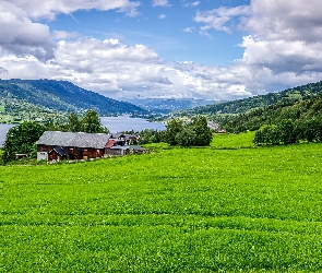 Dom, Pole, Góry, Łąka, Drzewa, Wzgórza, Jezioro
