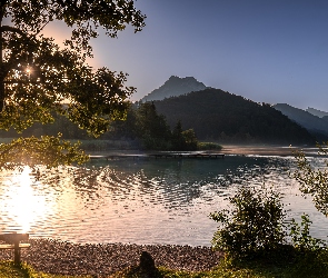 Austria, Krzewy, Drzewo, Wschód słońca, Ławka, Fuschlsee Lake, Góry, Alpy, Jezioro