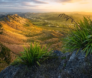 Region Hawkes Bay, Wzgórza, Nowa Zelandia, Te Mata Peak, Dolina, Góry, Rośliny, Wschód słońca