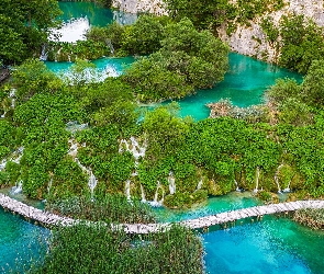 Chorwacja, Drzewa, Jeziora, Park Narodowy Jezior Plitwickich, Wodospady, Zielone