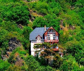 Skały, Drzewa, Dom, Zbocze