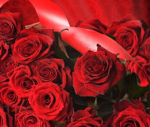 Bukiet, Róż, Czerwonych
