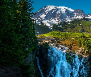 Myrtle Falls, Kaskada, Las, Most, Park Narodowy Mount Rainier, Stany Zjednoczone, Drzewa, Waszyngton, Wodospad, Góry Kaskadowe, Góra Rainier