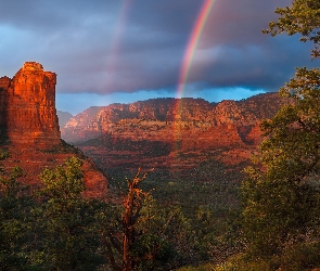 Chmury, Drzewa, Szczyty, Tęcza, Sedona, Arizona, Wilson Mountain, Góry, Stany Zjednoczone, Skały