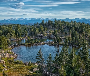 Wyoming, Góry Absaroka, Kamienie, Stany Zjednoczone, Świerki, Staw, Drzewa