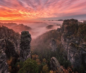 Park Narodowy Saskiej Szwajcarii, Mgła, Skały, Niemcy, Zachód słońca, Góry Połabskie, Drzewa