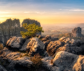 Wschód słońca, Skały, Park Narodowy Saskiej Szwajcarii, Mgła, Drzewo, Niemcy, Góry Połabskie