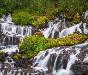 Hraunfossar, Islandia, Zieleń, Rośliny, Wodospad