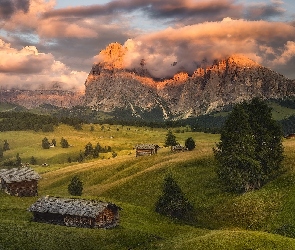 Włochy, Drzewa, Domy, Chmury, Płaskowyż Seiser Alm, Dolomity, Dolina, Val Gardena, Góry Sassolungo, Wzgórza