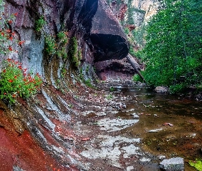 Kamienie, Skały, Drzewa, Rzeka
