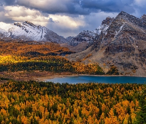 Chmury, Jezioro, Pożółkłe, Magog Lake, Góry Skaliste, Alberta, Jesień, Góry, Kanada, Drzewa