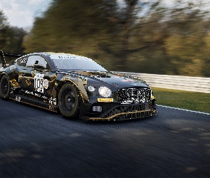 Tor, Assetto Corsa Competizione, Gra, Wyścig, Samochód