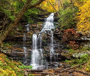 Wodospad, Pensylwania, Jesień, Stany Zjednoczone, Park stanowy Ricketts Glen, Paprocie, Ganoga Falls, Skała, Drzewa