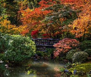 Jesień, Oregon, Portland Japanese Garden, Stany Zjednoczone, Portland, Mostek, Ogród japoński, Drzewa, Krzewy
