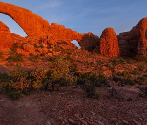 Stany Zjednoczone, Utah, Skały, Formacje, Park Narodowy Arches, Krzewy