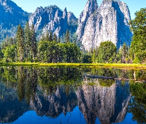 Stan Kalifornia, Park Narodowy Yosemite, Drzewa, Stany Zjednoczone, Odbicie, Góry, Jezioro