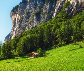 Dolina Lauterbrunnen, Drzewa, Wzgórze, Szwajcaria, Dom, Polana, Góry