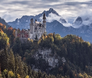 Góry, Niemcy, Bawaria, Drzewa, Zamek Neuschwanstein