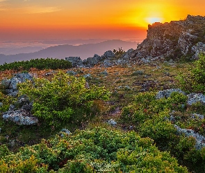 Skały, Wschód słońca, Góry, Roślinność, Babia Góra, Polska, Beskidy