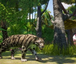 Gra, Planet Zoo, Dziki kot