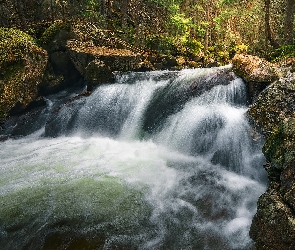 Rzeka, Głazy, Las, Skały