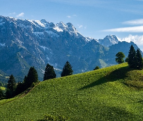 Niebo, Drzewa, Góry, Wzgórza