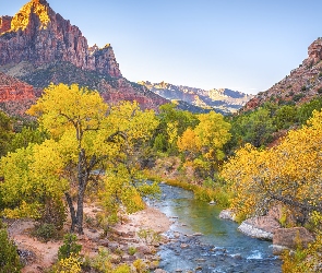 Stany Zjednoczone, Kamienie, Virgin River, Drzewa, Jesień, Rzeka, Stan Utah, Park Narodowy Zion, Góry Watchman