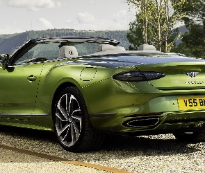 Bentley Continental, Tył, Kabriolet, GT, Zielony