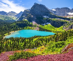 Jezioro, Lasy, Park Narodowy Glacier, Góry, Montana, Grinnell Lake, Stany Zjednoczone, Niebo