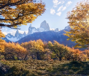 Drzewa, Jesień, Patagonia, Promienie słońca, Fitz Roy, Argentyna, Góry