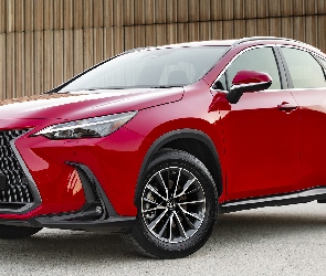 Lexus NX, 2022