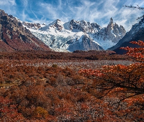 Patagonia, Fitz Roy, Argentyna, Andy, Drzewa, Góry, Krzewy, Jesień