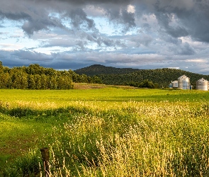 Wzgórza, Elewator, Trawa, Pole, Drzewa, Magazyn Zbożowy