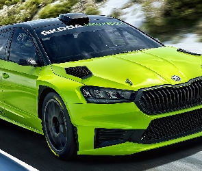 Skoda Fabia RS Rally2, Droga