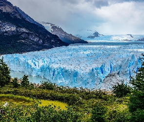 Lodowiec, Prowincja Santa Cruz, Drzewa, Argentyna, Park Narodowy Los Glaciares, Góry, Perito Moreno, Jezioro, Lago Argentino