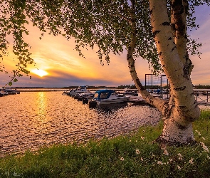 Jezioro, Vuokatti, Przystań, Finlandia, Sotkamo, Motorówki, Zachód słońca, Drzewa, Brzoza
