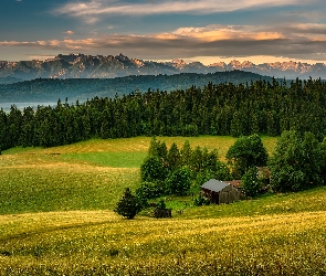 Pole, Pieniny, Dom, Polska, Chmury, Wzgórza, Las, Drzewa, Góry