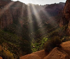 Kanion, Stan Utah, Park Narodowy Zion, Stany Zjednoczone, Dolina, Skały, Zion Canyon, Promienie słońca, Rośliny