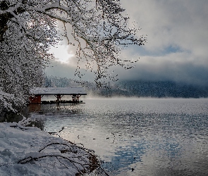 Niemcy, Mgła, Gałązki, Chmury, Śnieg, Drzewa, Bawaria, Zima, Jezioro Alpsee