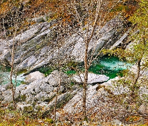 Jesień, Drzewa, Rzeka, Skały