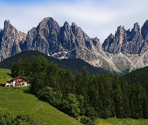 Włochy, Park Przyrody Puez Odle, Dolomity, Góry, Drzewa, Dom