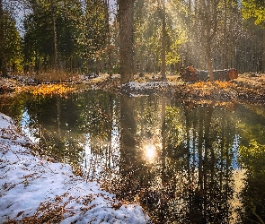 Las, Promienie słońca, Staw, Śnieg, Zima