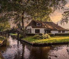 Kanał, Giethoorn, Kaczki, Kwiaty, Gałęzie, Rzeka, Ptaki, Mostek, Lato, Drzewa, Dom, Brzeg, Odbicie, Chmury, Holandia