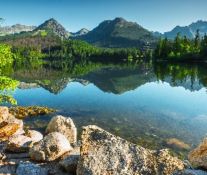Góry, Lasy, Jezioro Szczyrbskie, Drzewa, Miejscowość Szczyrbskie Jezioro, Tatry Wysokie, Słowacja, Kamienie