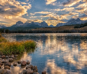 Niebo, Obłoki, Jezioro, Drzewa, Odbicie, Stany Zjednoczone, Little Redfish Lake, Idaho, Góry, Kamienie, Szuwary