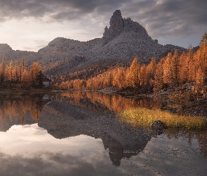 Odbicie, Drzewa, Jesień, Modrzewie, Góry, Prowincja Belluno, Dolomity, Jezioro, Włochy, Lago Federa