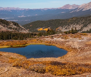 Kolorado, Przełęcz Cottonwood, Staw, Stany Zjednoczone, Elk Mountains, Polana, Góry