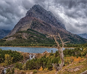 Jezioro, Drzewo, Góry, Suche, Montana, Swiftcurrent Lake, Stany Zjednoczone, Park Narodowy Glacier
